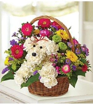 EVERY DAY DOGGIE BASKET Flower Bouquet