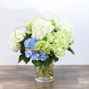 Hello, Hydrangea! Flower Bouquet