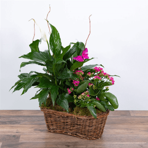 Harmony Basket with Butterflies Flower Arrangement Harmony Basket with Butterflies Flower Bouquet