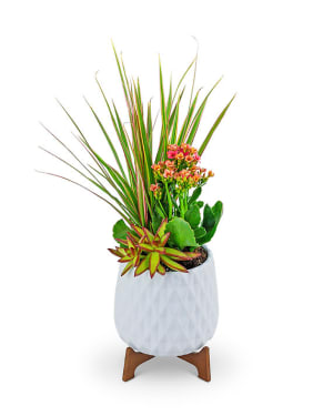 Mod In Bloom Trio Flower Arrangement Mod In Bloom Trio Flower Bouquet