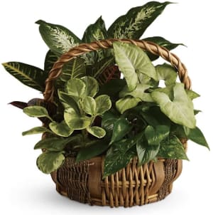 Emerald Garden Basket Flower Bouquet