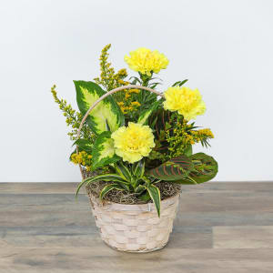 Dish Garden with Yellow Florals Flower Bouquet