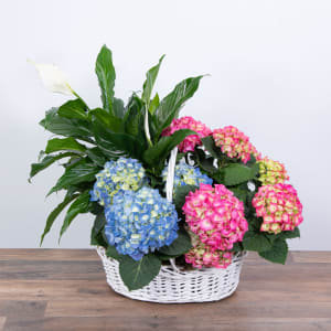 Bountiful Basket Flower Bouquet