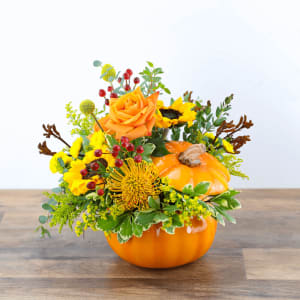 Pumpkin in Radiance Flower Bouquet