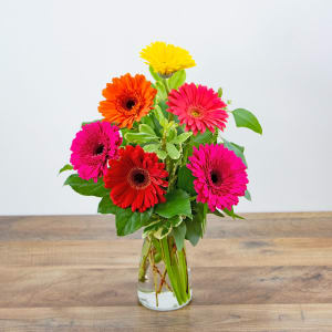 Gleeful Gerbera Flower Bouquet