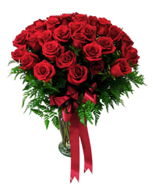 50 Long Stem Red Roses R-1786 Flower Bouquet