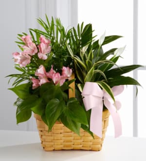 Planter: Living Spirit Planter Basket, pink accents Flower Bouquet