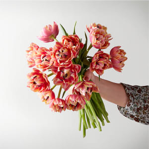 Blushing Columbus Tulips Flower Bouquet