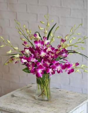 Orchid Oasis Flower Bouquet