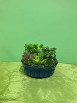 10" Succulent Dish Garden Flower Bouquet