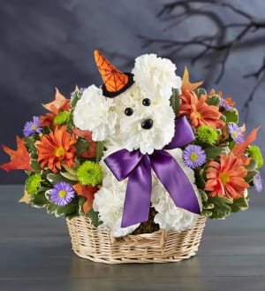 Witchy Pooch Flower Bouquet
