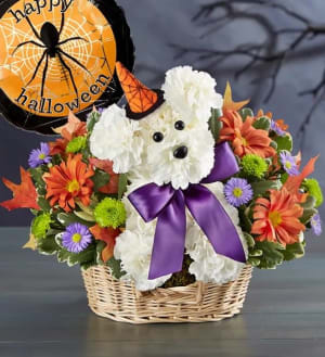 Witchy Pooch Flower Bouquet