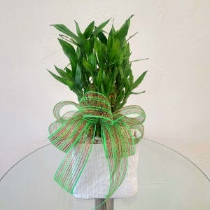 Lucky Bamboo Flower Bouquet