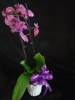 Orchid Flower Bouquet