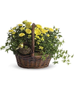 Yellow Trio Basket Flower Bouquet