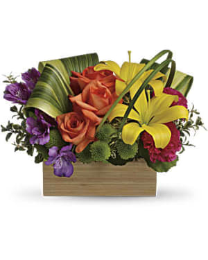 Teleflora's Shades Of Brilliance Bouquet Flower Bouquet