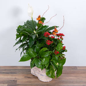 Verdant Basket with Butterflies Flower Bouquet