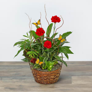 Red Blooms and Butterflies Dish Garden Flower Bouquet