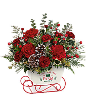 Teleflora's Snow What Fun Bouquet Flower Bouquet