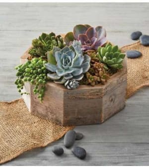 Earthy Succulent Centerpiece Flower Bouquet