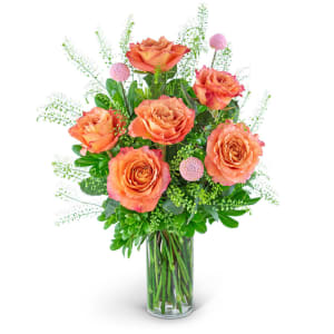 Half Dozen Free Spirit Rose Symphony Flower Bouquet