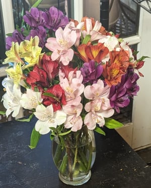 Alstroemeria Dream Flower Bouquet