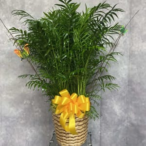 PALM PLANT Flower Bouquet