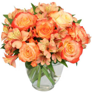 Ambrosia Roses Bouquet Flower Bouquet