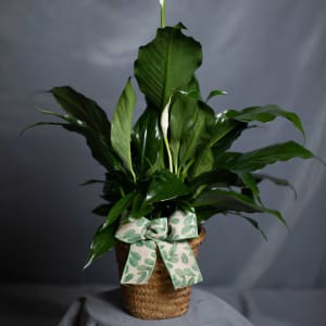 Peace Lily Flower Bouquet