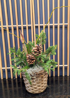 Amaryllis Wicker Flower Arrangement Amaryllis Wicker Flower Bouquet