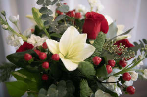 Candy Cane Dreams Flower Bouquet