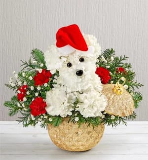 Santa Paws Flower Bouquet