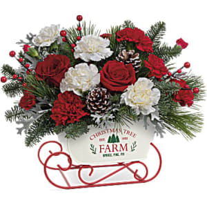 Teleflora's Sleigh The Season Flower Bouquet