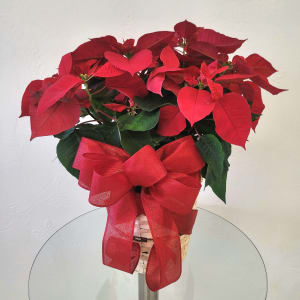 Poinsettia Basket Flower Bouquet