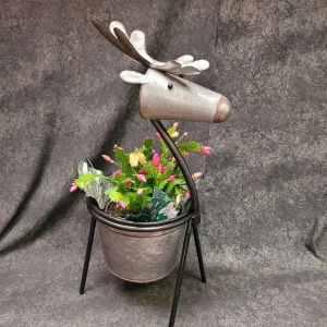 6" CHRISTMAS CACTUS Flower Bouquet