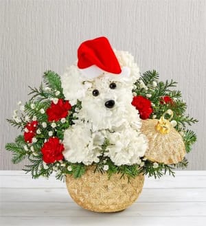 Santa Paws Flower Bouquet