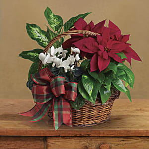 Holiday Homecoming