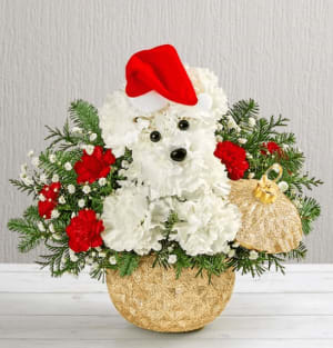 Santa Paws® in the Sparkling Holiday Ornament™ Flower Bouquet