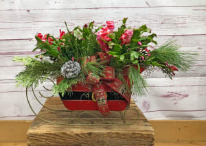 Holiday Dressed Christmas Cactus Plant Flower Bouquet