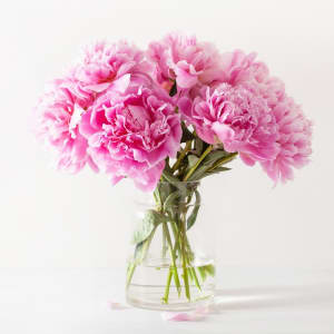 Blissful Blossoms Pink Peonies Bouquet Flower Bouquet