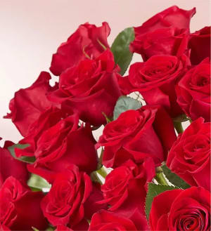 100 Premium Long Stem Red Roses in a Vase