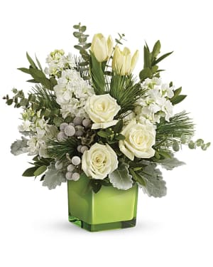 Teleflora's Winter Pop Bouquet Flower Bouquet