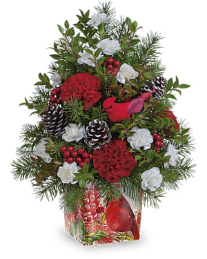 Teleflora's Cardinal In Flight Tree Flower Bouquet