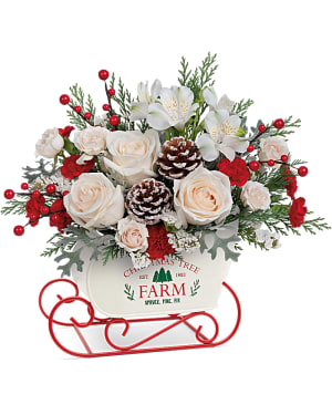 Teleflora's Winter Sleigh Bouquet Flower Bouquet