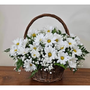 LOVELY DAISIES Flower Bouquet