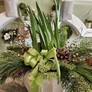 Paperwhites in Ceramic Flower Bouquet