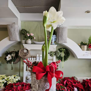 Amaryllis Flower Bouquet