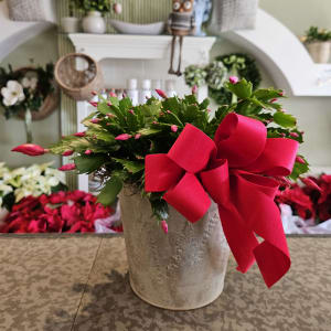 Christmas Cactus Flower Bouquet