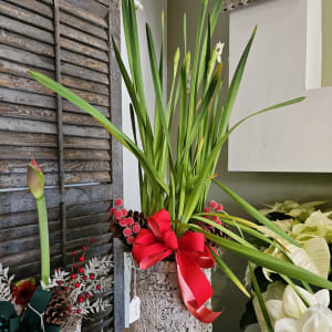 Paperwhites in Birch Flower Bouquet