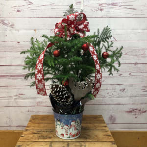 Natural Norfolk Island Pine Plant Flower Bouquet